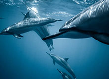 c7娱乐官方网站-九游体育：在热血与数据之间，打造你的专属体育娱乐生态